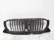 Kühlerluftumlenker BMW X2 (F39) X2 xDrive20i 7497227