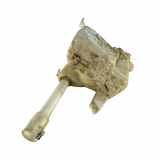 Behälter Scheibenwaschanlage Jaguar X-Type (X400) 4R8317B613B