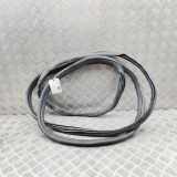 Türgummi links hinten Ford Tourneo Custom V362 Bus (F3) JK21V253A10AB