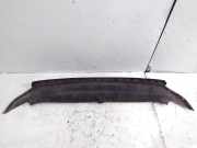 Stoßstangenabdeckung vorne VW Passat B8 (3G) 3AA805903