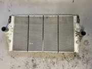 Ladeluftkühler RENAULT VEL SATIS (BJ0_) 2.2 dCi (BJ0E, BJ0F) 8200075810C