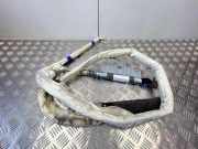 SRS Modul Dach links AUDI Q7 (4M) 2020 SQ7 TDI Quattro 4L0880742A