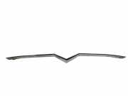 Stoßstangenzierleiste vorne rechts CITROËN C-CROSSER (EP_) 2.2 HDi 6407A038