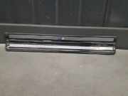 Zierleiste BMW 3er Cabriolet (E46) 7891986