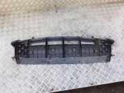 Bodenschutz der Frontstoßstange AUDI Q5 (8R) 2.0 TFSI quattro 8R0807233