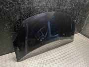 Motorhaube Citroen Berlingo II Multispace (B9)