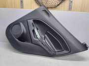Türverkleidung rechts hinten Ford EcoSport () CN1527406A