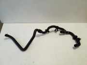 Schlauch Kühlung VW GOLF I Cabriolet (155) 1.5 5QE122109H