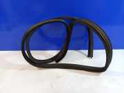 Türgummi links hinten Saab 9000 Schrägheck () R1022476