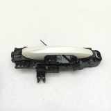 Türaußengriff vorne rechts