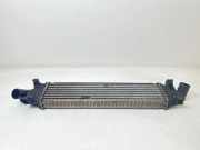 Ladeluftkühler Ford Focus II Turnier (DA, DS, FFS) 3M5H9L440AE