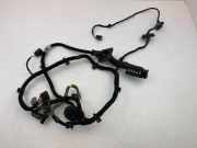 Türverkabelung hinten links VOLVO S90 II 2.0 T5 30644905