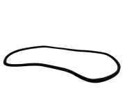 Dichtung für Koffer-/Laderaumklappe Citroen DS5 ()