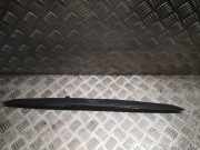 Kennzeichenleuchte BMW X5 (E53) 51137170674