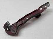 Kühlerträger Renault Megane III Grandtour (KZ) 6251306EG