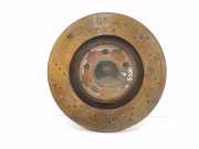 Bremsscheibe vorne links MERCEDES-BENZ SLK (R172) 250 CDI / d (172.403) A0004211612