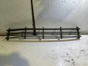 Gitter vorne unten SKODA OCTAVIA II Combi (1Z5) 2.0 TDI 16V 1Z0853677