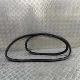 Türdichtungsgummi hinten rechts MERCEDES-BENZ GLE (W167) 300D 4-matic (167.109) A0007271300