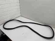 Dichtungsgummi der hinteren Tür (an der Karosserie) BMW X3 (G01, F97) xDrive 30d Mild-Hybrid 7393449