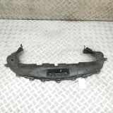 Kühlerluftumlenker MERCEDES-BENZ E Coupe (C238) E 220 d (238.314) A2138851100