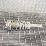 Stoßdämpfer links hinten Jaguar F-Type Coupe (QQ6) EX5380AD