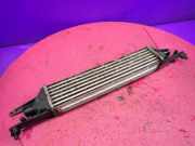 Ladeluftkühler Fiat Punto (188) 51836369
