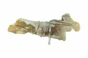 Behälter Scheibenwaschanlage Ford Focus C-Max (C214) 3M5113K163