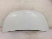 Motorhaube OPEL VIVARO Furgon 1.6 CDTI
