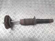 Stoßdämpfer vorne links PEUGEOT 406 Coupe (8C) 3.0 V6 96193282 363381EGT
