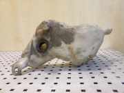 Fensterwaschtank PEUGEOT 307 Break (3E) 2.0 HDI 90 9634371480