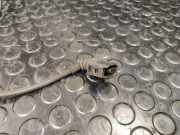 Sensor für ABS rechts vorne Seat Alhambra II (710, 711)