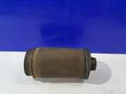 Stoßdämpfer rechts hinten Mercedes-Benz R-Klasse (W251) A2513200425