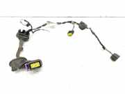 Türverkabelung hinten rechts FIAT CROMA (194_) 2.4 D Multijet 51770047