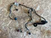 Türverkabelung hinten links FORD FOCUS Turnier (DNW) 1.8 TDCi 98AG14A584