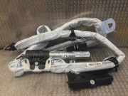SRS Modul Dach links BMW 3 (E90) 318 i 84696664503H