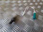 Sauerstoffsensor (Lambdasensor) FORD FOCUS IV (HN) 1.0 EcoBoost XC2F9F472B1A