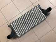 Ladeluftkühler MERCEDES-BENZ M (W166) ML 350 BlueTEC 4-matic (166.024) A0995010020