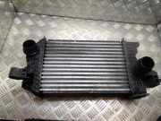 Ladeluftkühler Opel Meriva B () R3451004