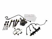 Düsenstöcke Citroen C4 II Picasso () 9674341880