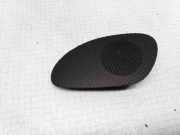 Lautsprecher im Armaturenbrett