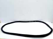 Vordere linke Türdichtungsgummi BMW i4 (G26) eDrive40