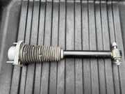 Stoßdämpfer hinten links LAND ROVER DISCOVERY V (L462) 3.0 D 4x4 LR081568 HY3218W002BA