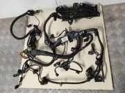 Motor Kabelbaum BMW 1 (F20) M 135 i 8507896