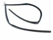 Türgummi links vorne Jaguar XJ (NAW, NBW)