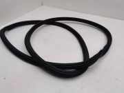 Türdichtung Seat Leon (5F)