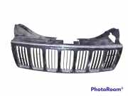 Vorderer oberer Gitter JEEP GRAND CHEROKEE III (WH, WK) 3.0 CRD 4x4 5JF94TRMAE