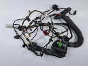 Türverkabelung hinten links MERCEDES-BENZ GLS (X167) 350 d 4-matic (167.921) A1675409345