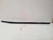 Zierleiste Windschutzscheibe Frontscheibe BMW X5 (F15, F85) sDrive 25 d