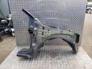 Seitenpaneele vorne rechts NISSAN NP300 NAVARA Pick-up (D23) 2.3 dCi 4x4 (D231)