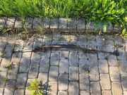 Other Front Right Chassis Parts MERCEDES-BENZ C (W203) C 180 (203.035) A1244630432